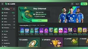 Experience the Future of Gaming with BC.CO Crypto-Based Online Casino 1720345487